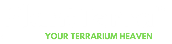 PlantTerra